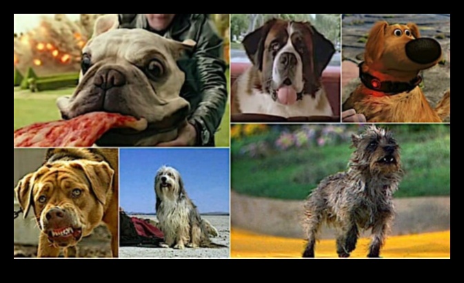 Furry Friends on Film: Iconic Dogs in Cinema History