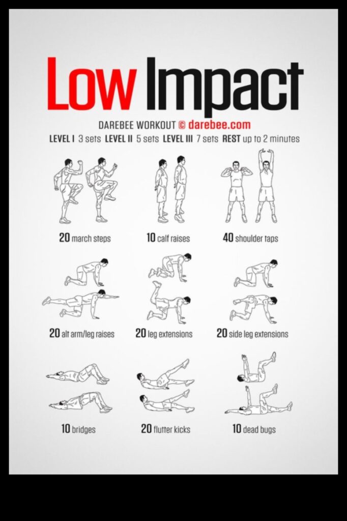 Gentle Fitness A Guide to Low-Impact Exercises for All Levels 1