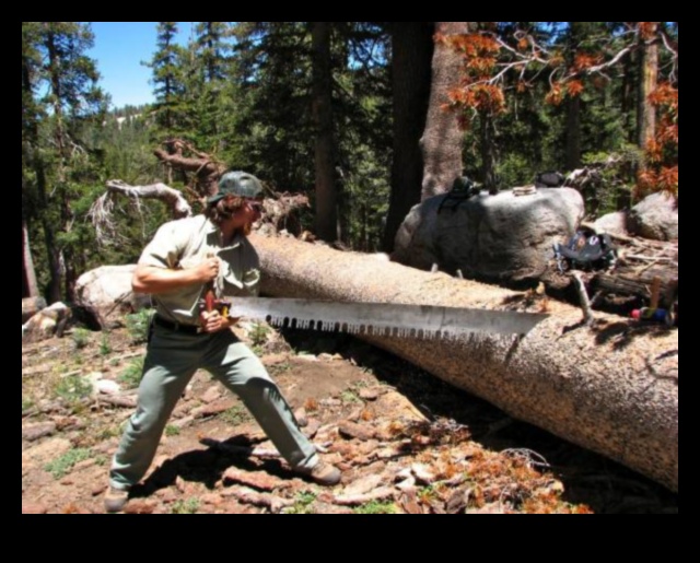 Wilderness Workouts: Outdoor Exercises in Untamed Landscapes