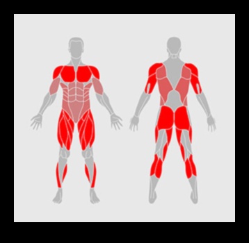 Adrenaline Rush: High-Impact Exercises for Ultimate Energy