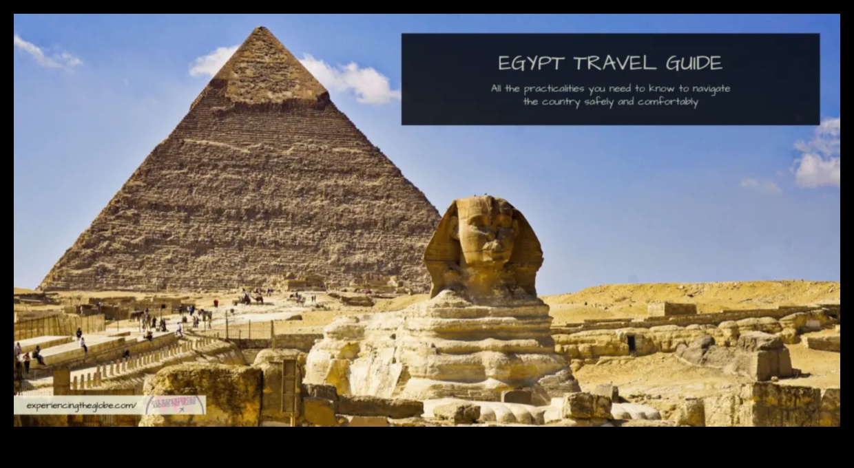 Globe Grains: Cultivating Travel Insights