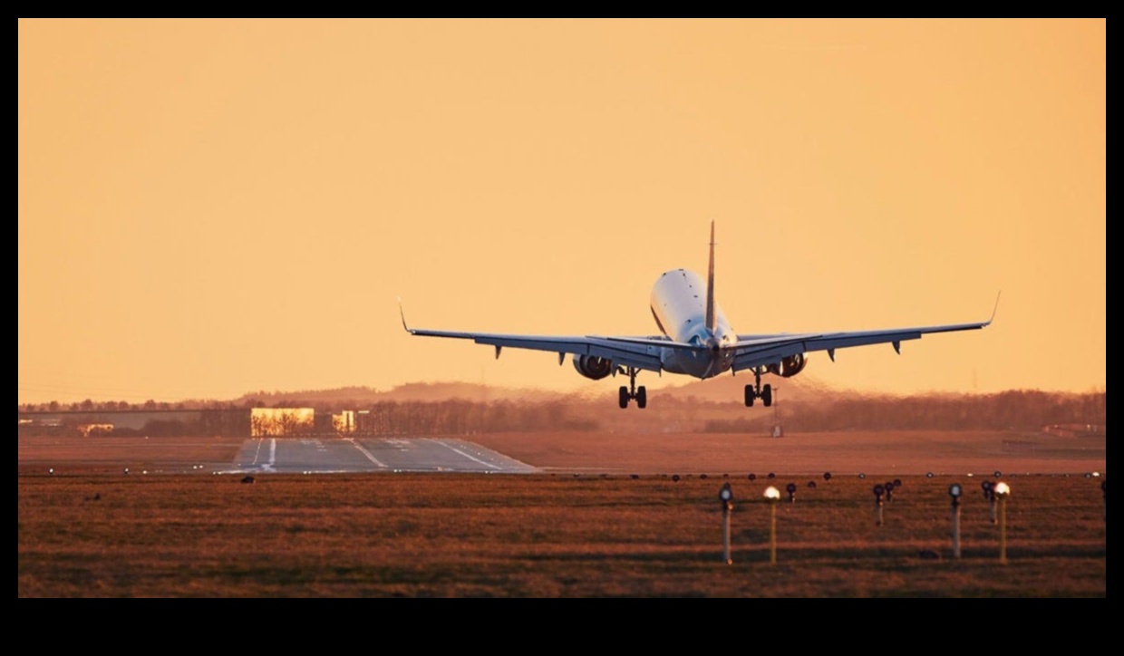 Globetrotter's Guide: Unlocking the Ultimate Travel Tips