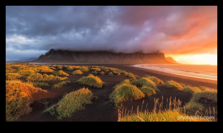 Golden Hour Grind: Sunset Sessions of Outdoor Fitness