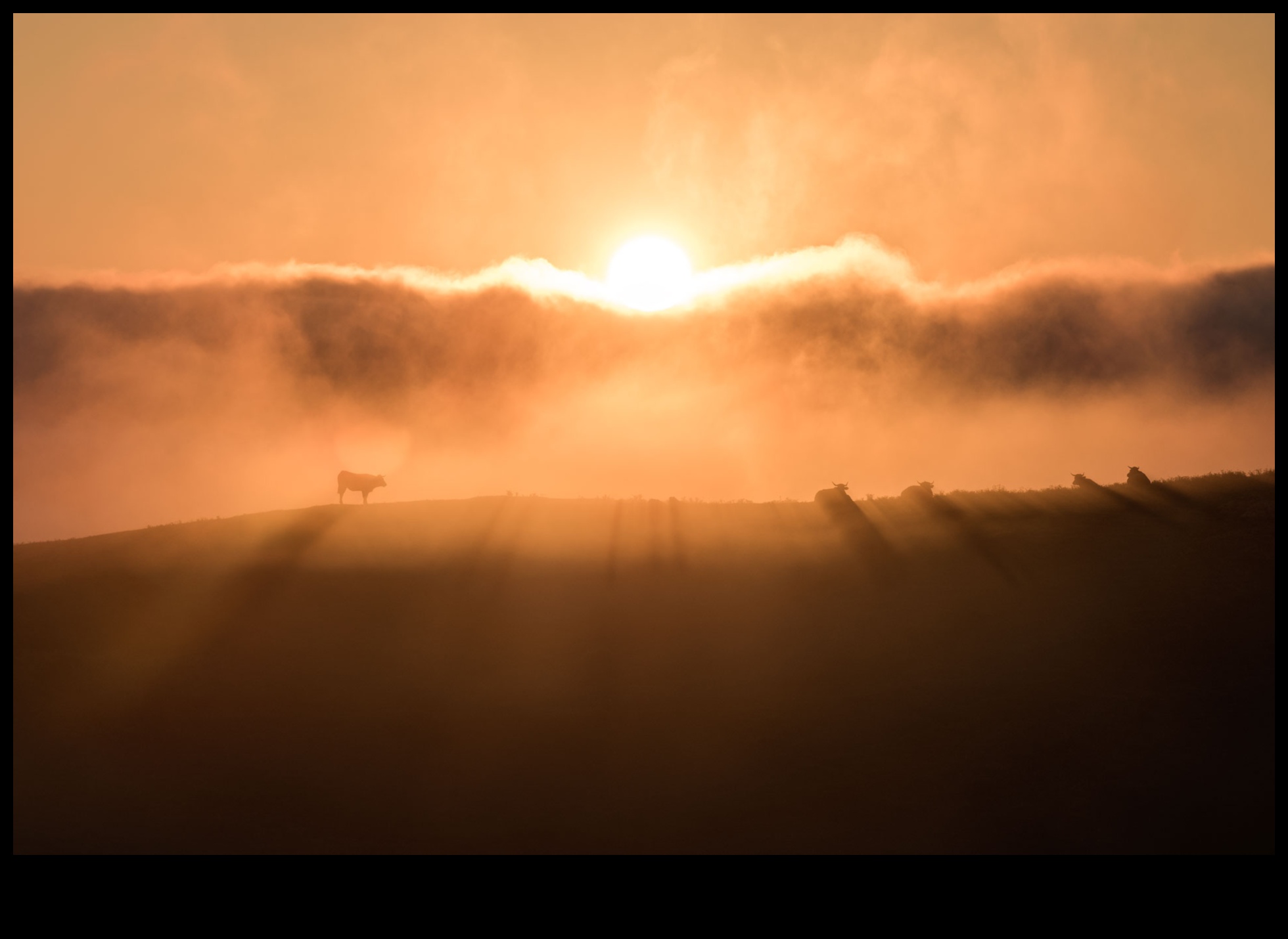 Golden Hour Grind: Sunset Sessions of Outdoor Fitness