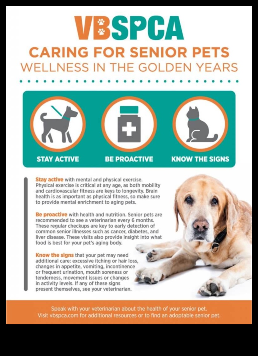 Golden Years Senior Pet Care Strategies for Aging Companions 1 Golden Years: Senior Pet Care Strategies for Aging Companions