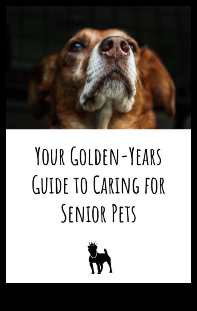 Golden Years Senior Pet Care Strategies for Aging Companions 5 Golden Years: Senior Pet Care Strategies for Aging Companions