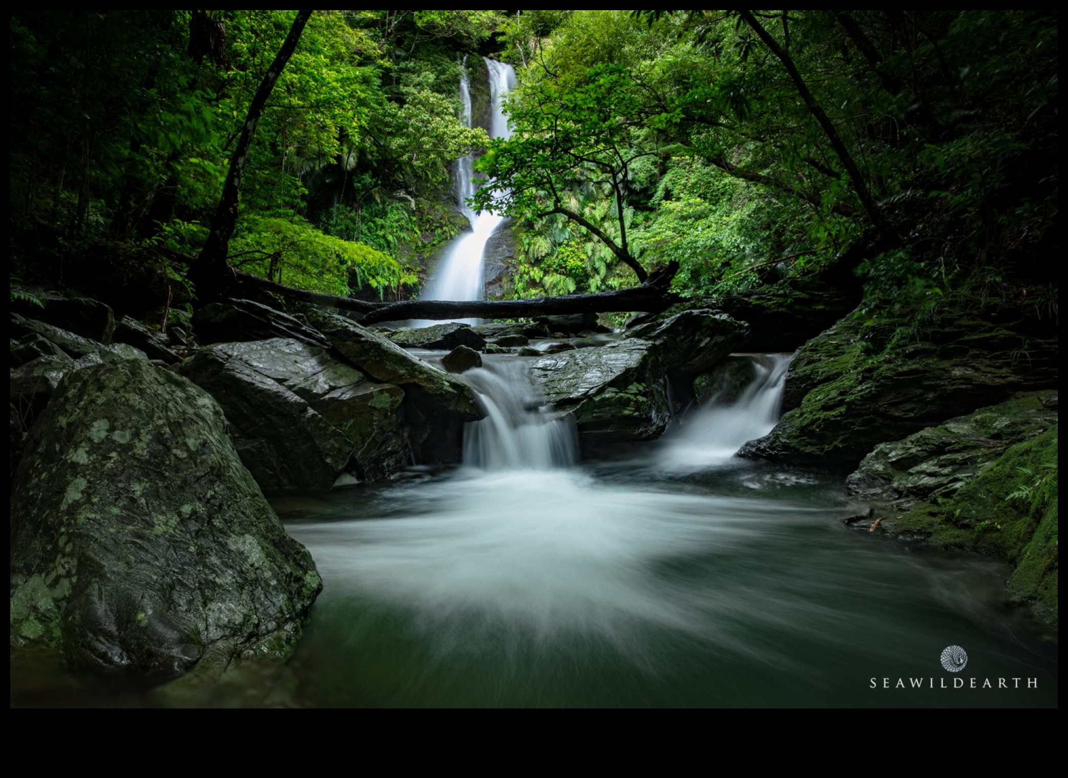 Green Oasis: Outdoor Workouts Surrounded by Nature's Beauty