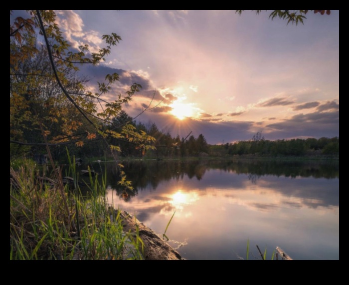 Green Oasis: Outdoor Workouts Surrounded by Nature's Beauty