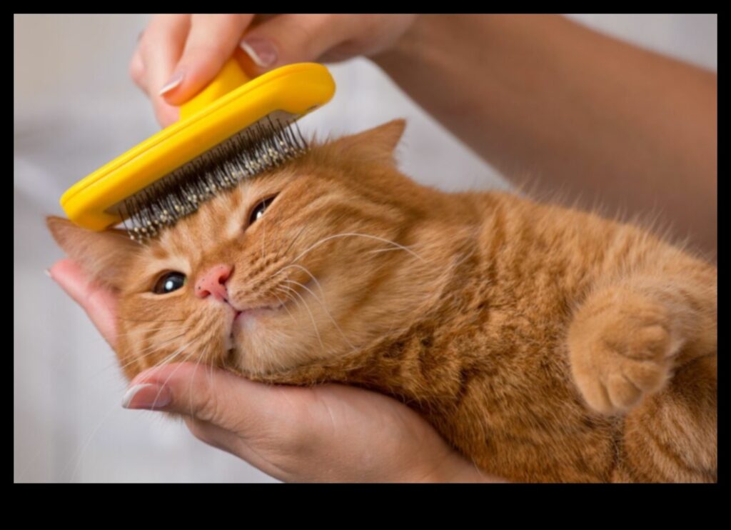 Grooming Guru Tips for Keeping Your Cat's Coat Healthy and Shiny 1