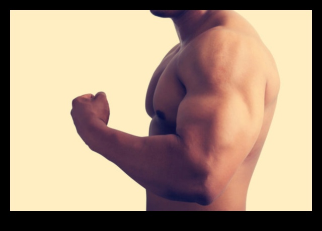 Guns of Steel: Strengthening Your Arms with Intense Exercises
