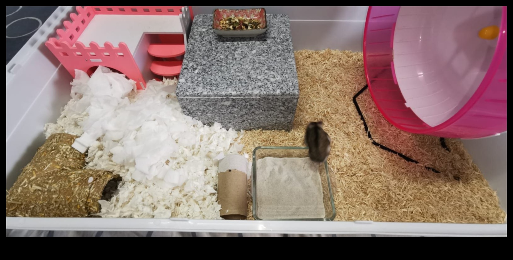 Hamster Bedding Guide: Choosing the Right Materials for Comfort