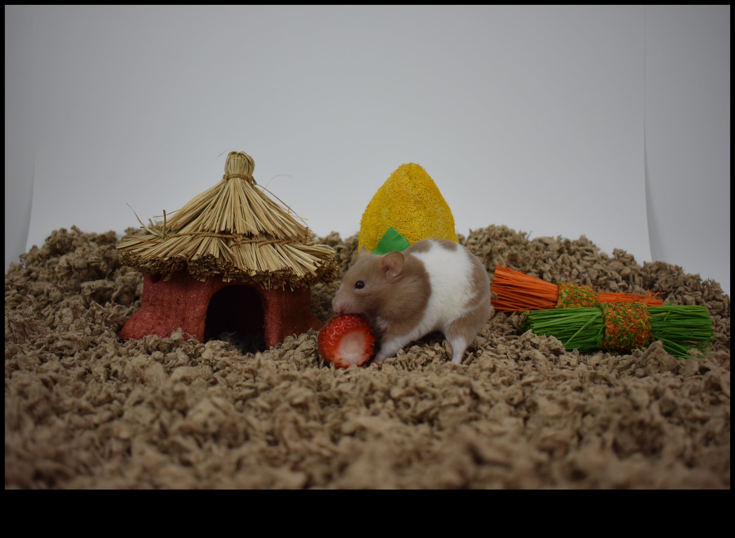 Hamster Bedding Guide: Choosing the Right Materials for Comfort