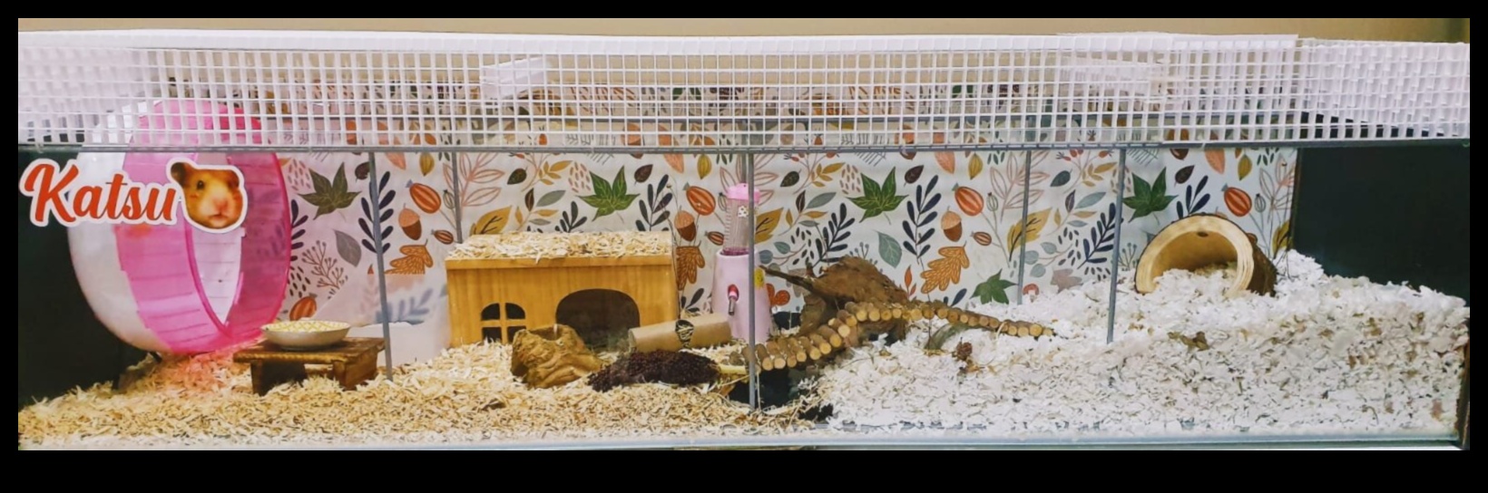 Hamster Bedding Guide Continued: Safe Options and Alternatives