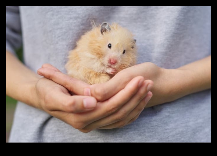 Hamster Behavior Insights: Reading Cues and Expressions