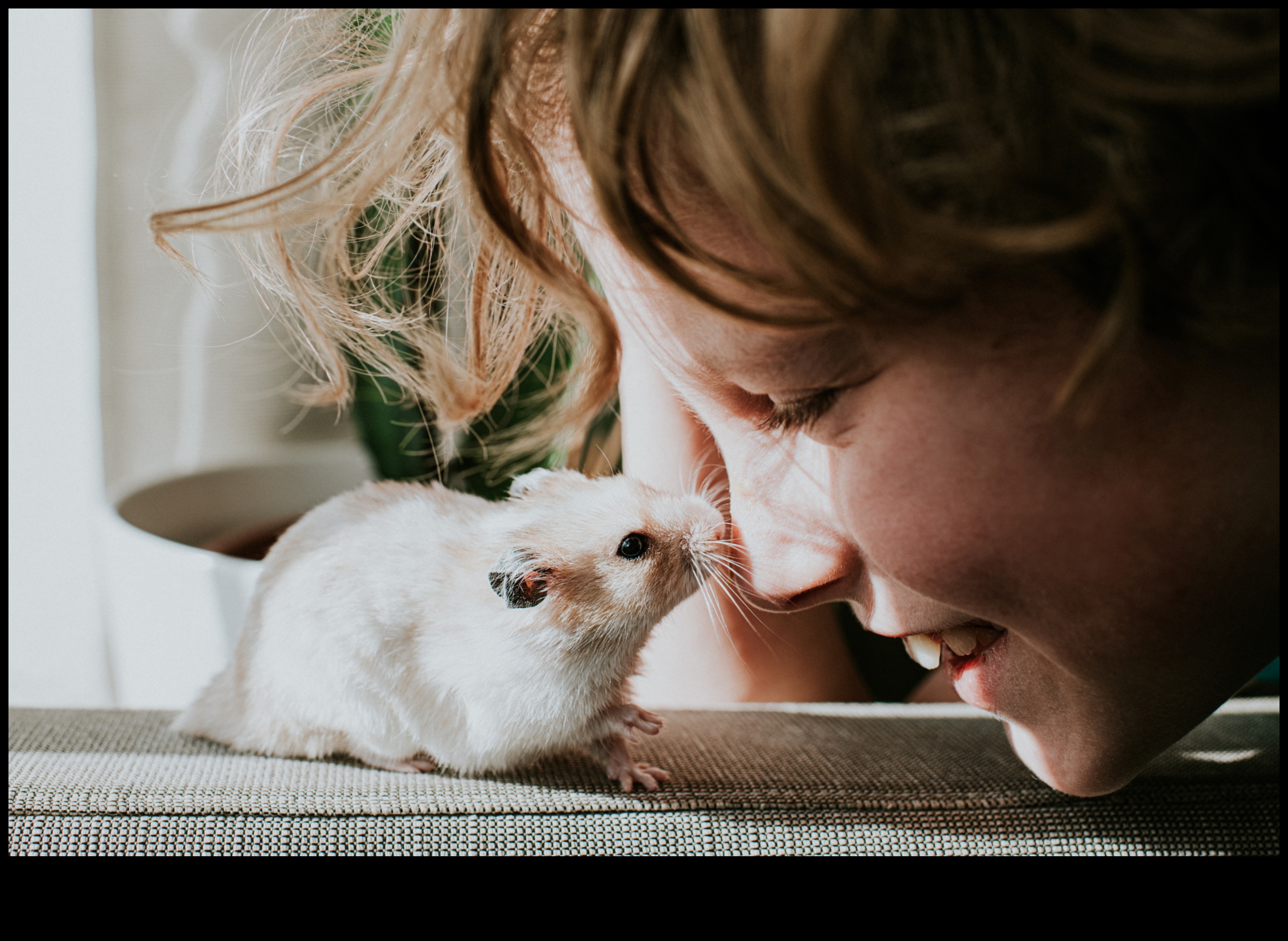Hamster Behavior Insights: Reading Cues and Expressions