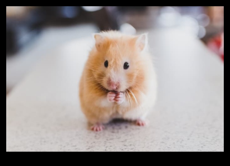 Hamster Behavior Solutions: Troubleshooting Common Challenges