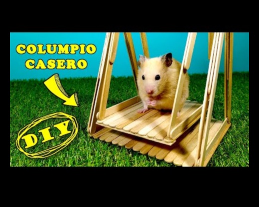Hamster DIY Toys Continued Eco-Friendly and Interactive Ideas 1