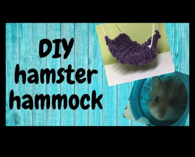 Hamster DIY Toys Continued: Eco-Friendly and Interactive Ideas