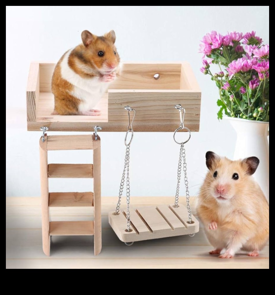 Hamster DIY Toys Continued: Eco-Friendly and Interactive Ideas