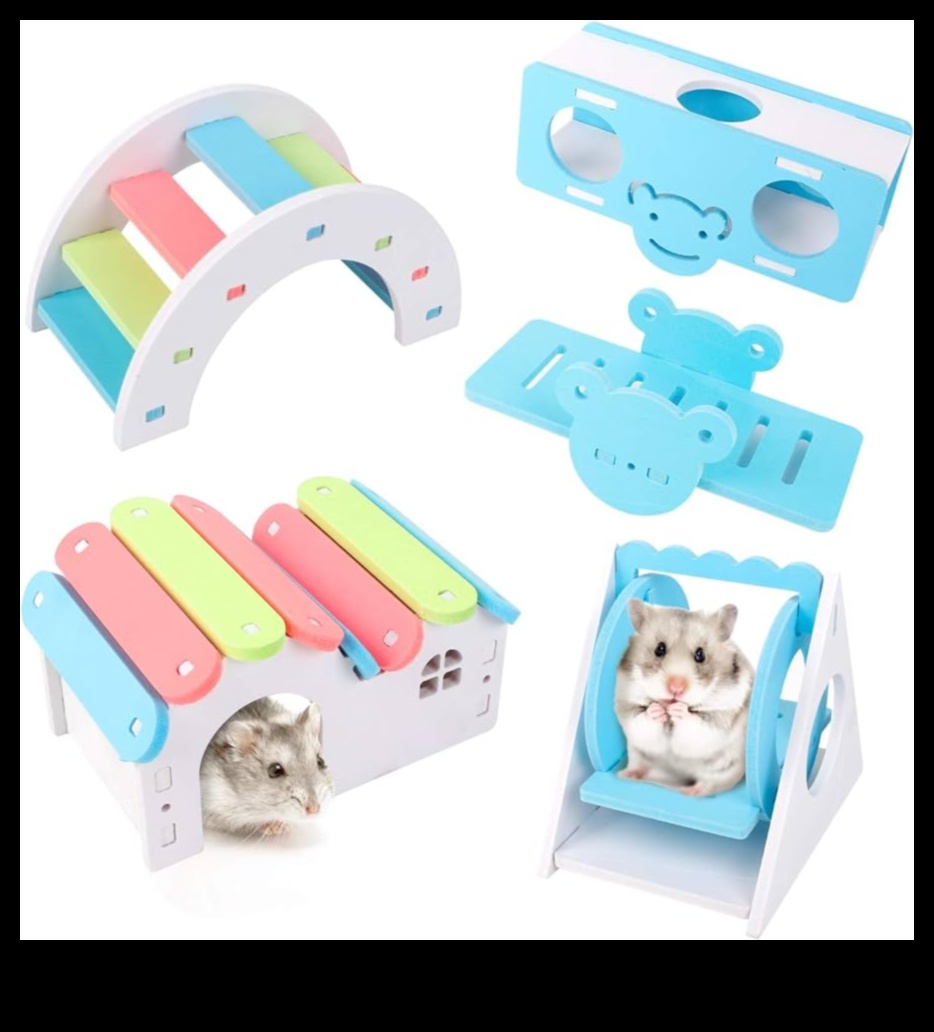Hamster DIY Toys Continued: Eco-Friendly and Interactive Ideas