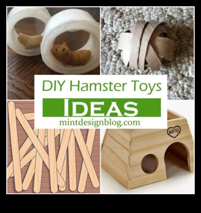 Hamster DIY Toys Continued: Eco-Friendly and Recyclable Ideas