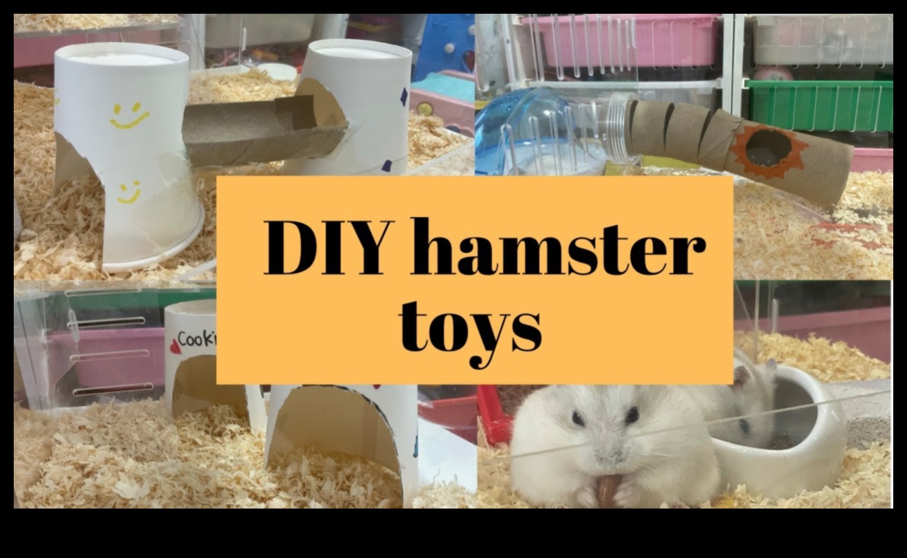 Hamster DIY Toys Continued: Eco-Friendly and Recyclable Ideas