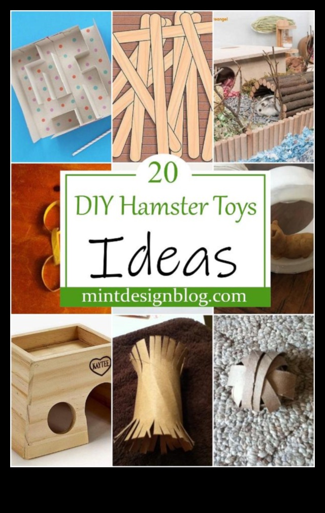 Hamster DIY Toys Continued: Eco-Friendly and Recyclable Ideas