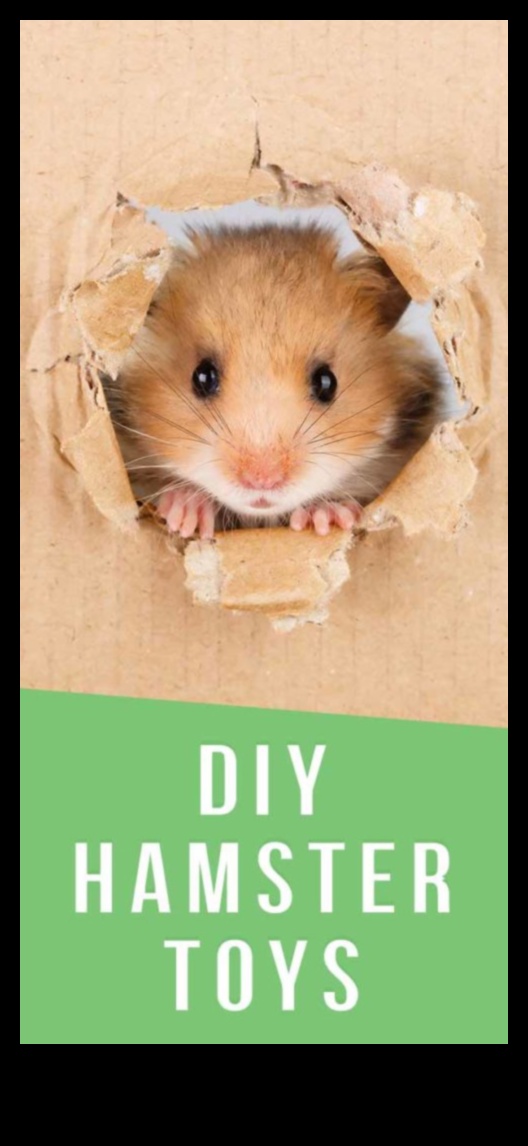 Hamster DIY Toys Continued: Simple and Safe Craft Projects