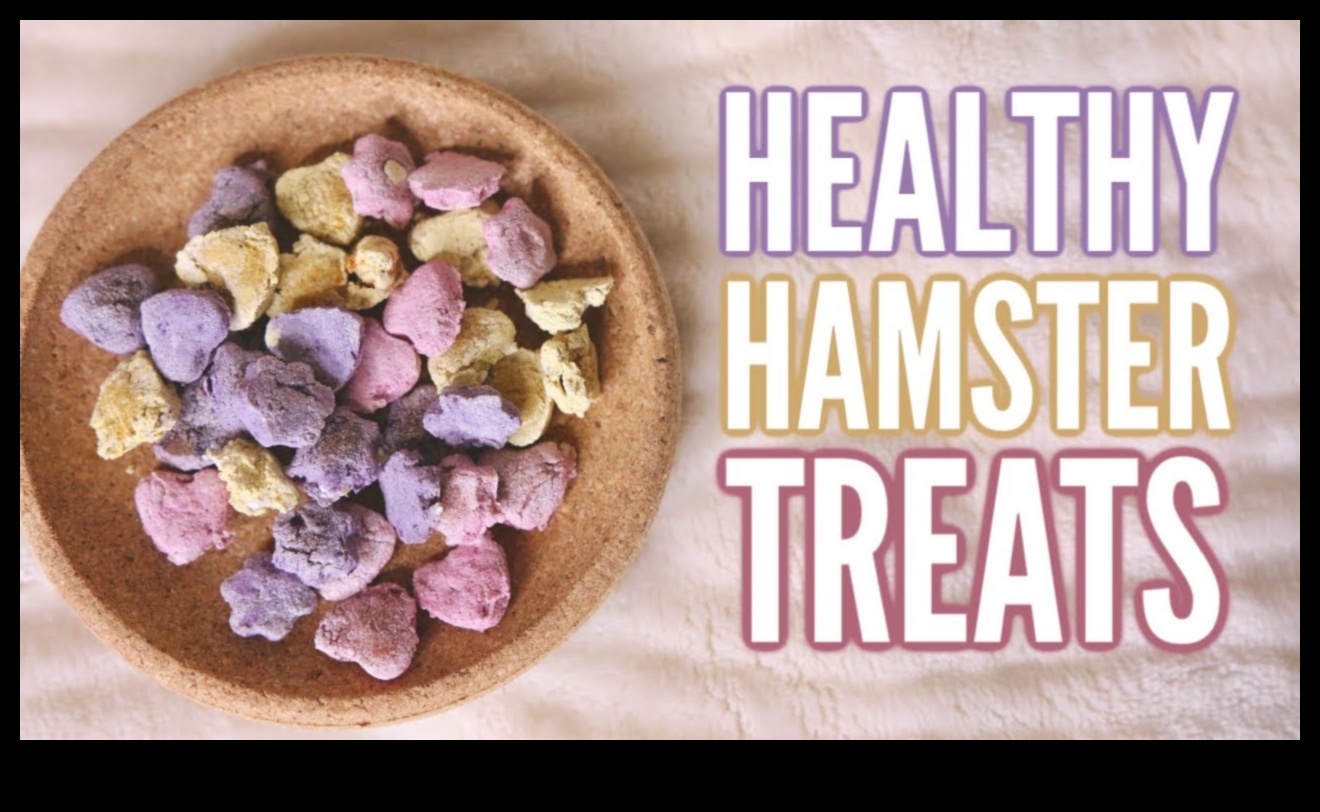 Hamster DIY Treats Continued: Creative and Healthy Recipes