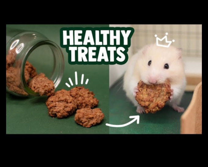 Hamster DIY Treats Continued: Creative and Healthy Recipes