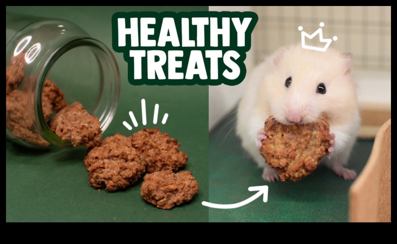 Hamster DIY Treats Continued: Creative and Healthy Recipes