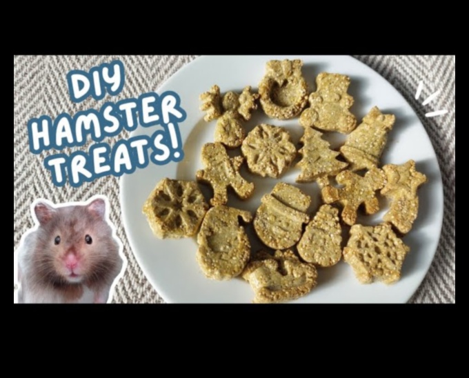 Hamster DIY Treats Continued: Seasonal and Flavored Recipes