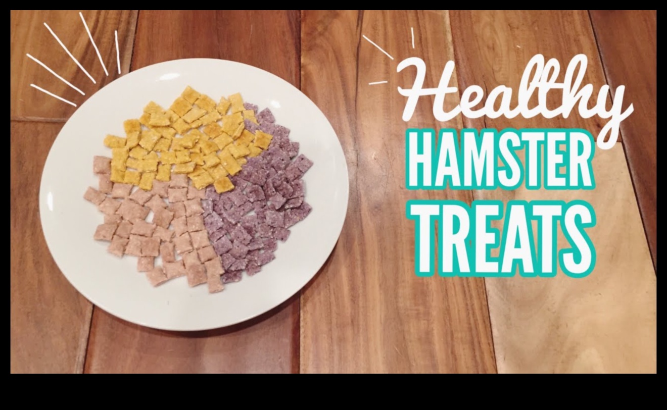Hamster DIY Treats Continued: Seasonal and Flavored Recipes