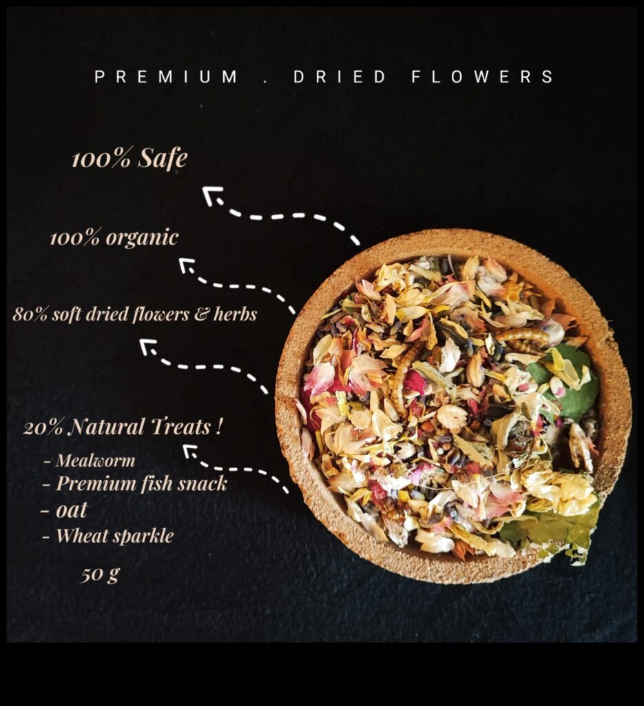 Hamster DIY Treats Whipping Up Healthy Snacks for Your Furry Friend 1