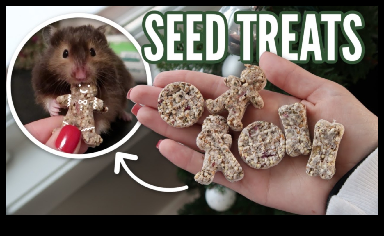Hamster DIY Treats: Whipping Up Healthy Snacks for Your Furry Friend