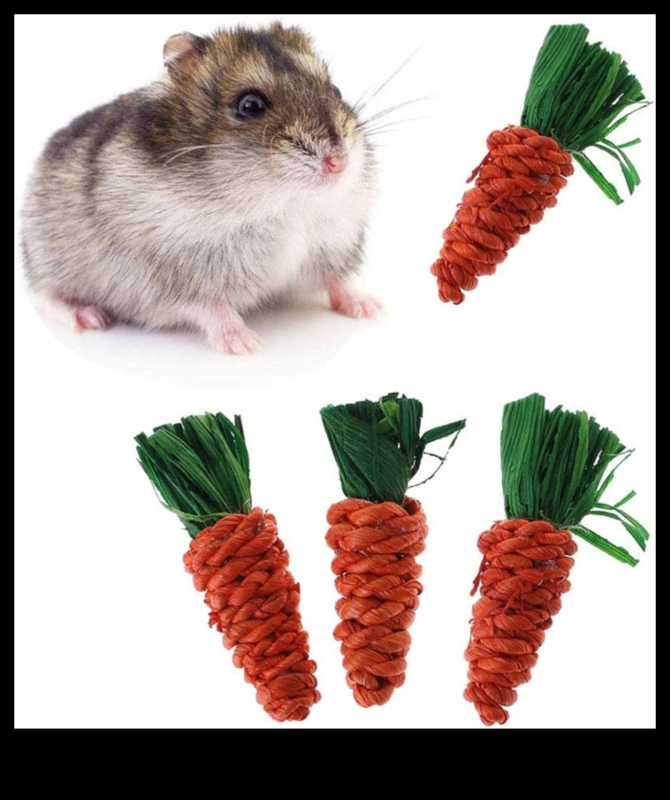 Hamster Dental Care Continued: Providing Safe Chewing Options