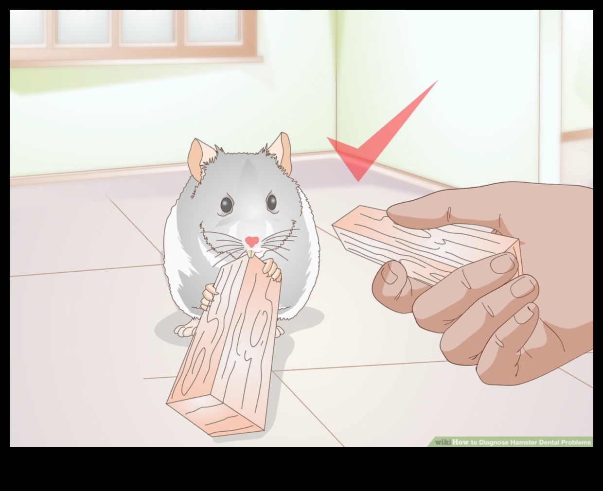 Hamster Dental Health Continued: Recognizing Signs of Tooth Problems