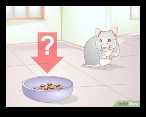 Hamster Dental Health Continued: Recognizing Signs of Tooth Problems