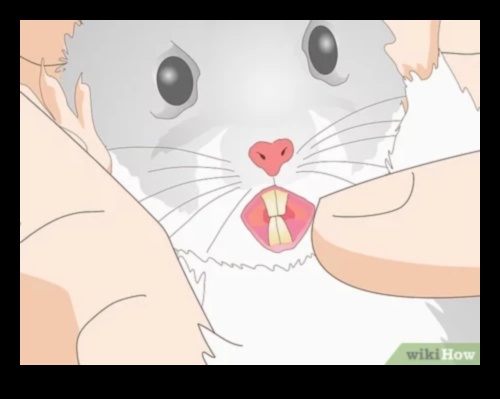 Hamster Dental Health Continued: Recognizing Signs of Tooth Problems