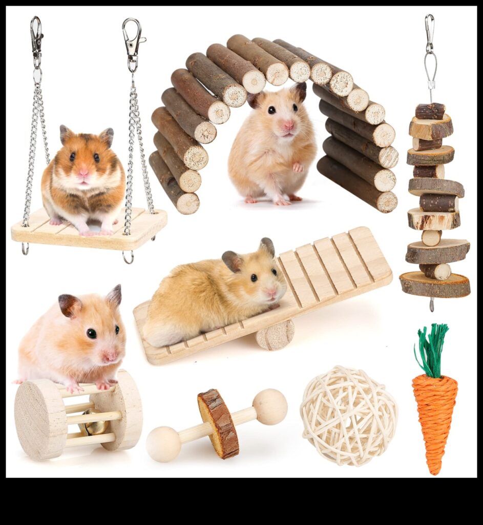 Hamster Dental Health Continued Safe Chewing Options and Toys 1
