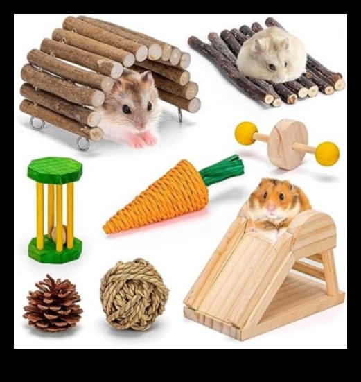 Hamster Dental Health Continued: Safe Chewing Options and Toys