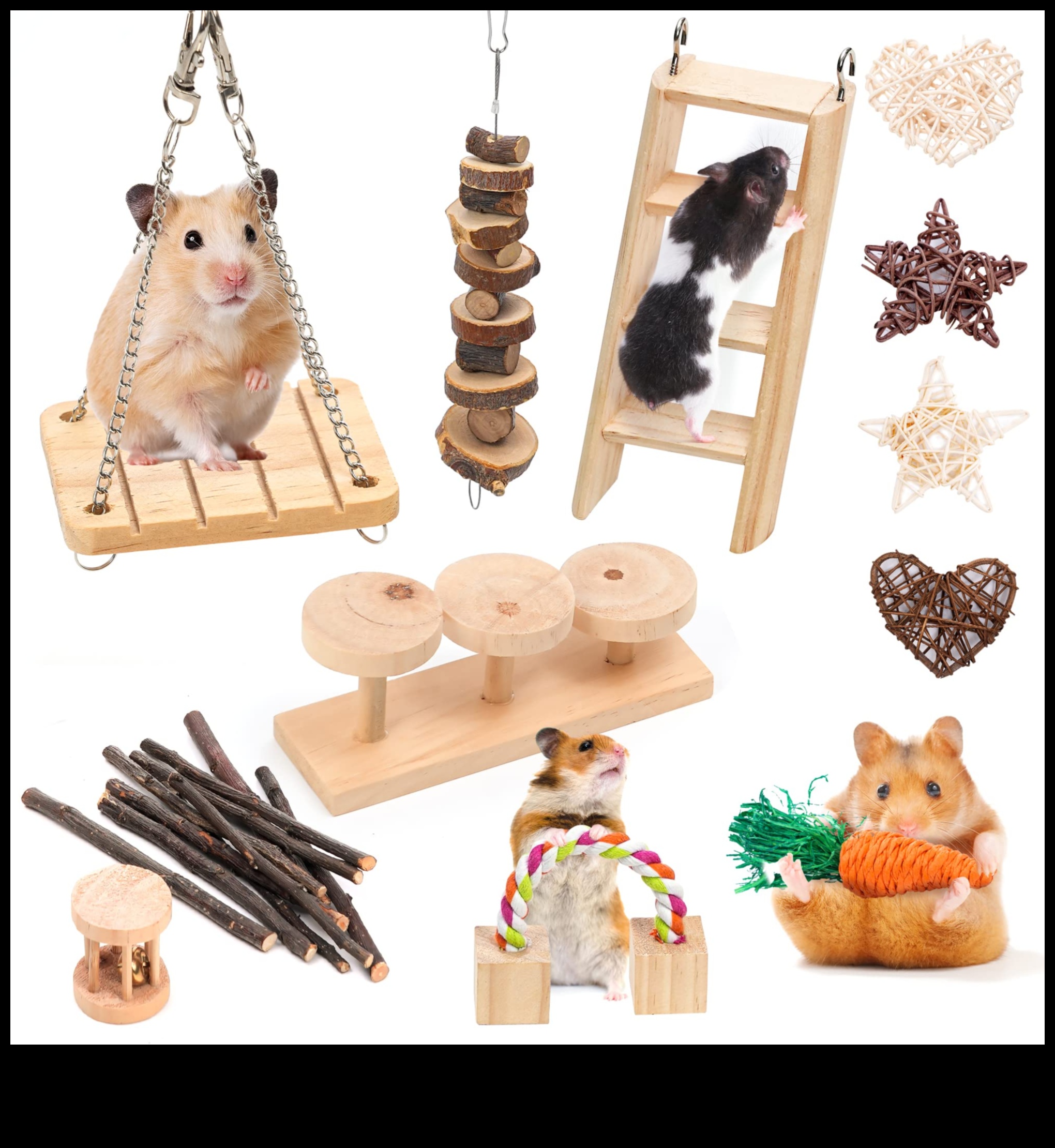 Hamster Dental Health Continued: Safe Chewing Options and Toys