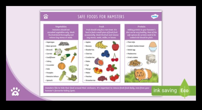 Hamster Diet Demystified: Crafting a Nutritious Menu for Your Pet