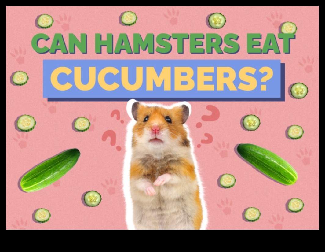 Hamster Diet Demystified: Crafting a Nutritious Menu for Your Pet