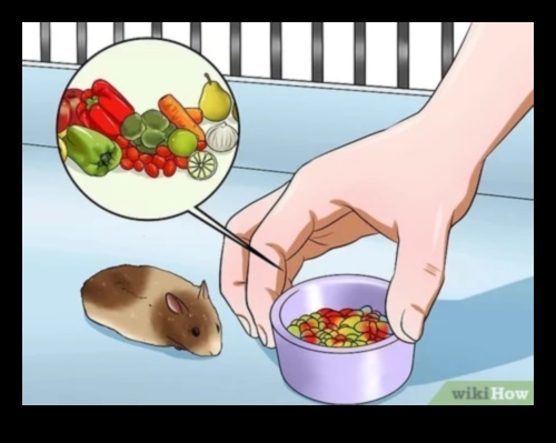 Hamster Diet Demystified: Crafting a Nutritious Menu for Your Pet