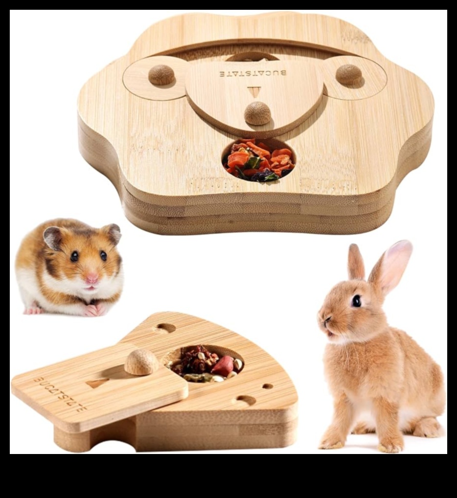 Hamster Enrichment Ideas Continued Creating Interactive Play Zones 1
