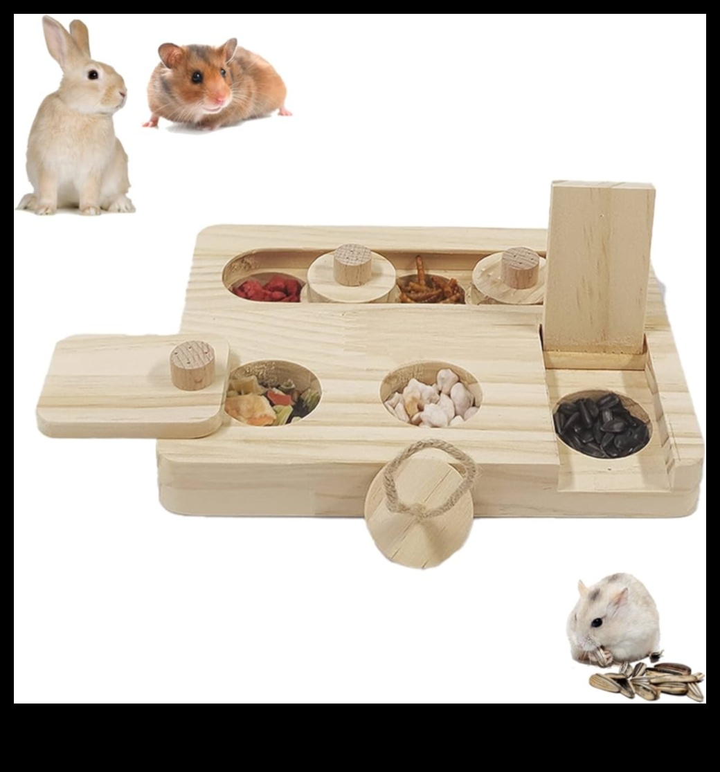 Hamster Enrichment Ideas Continued: Creating Interactive Play Zones