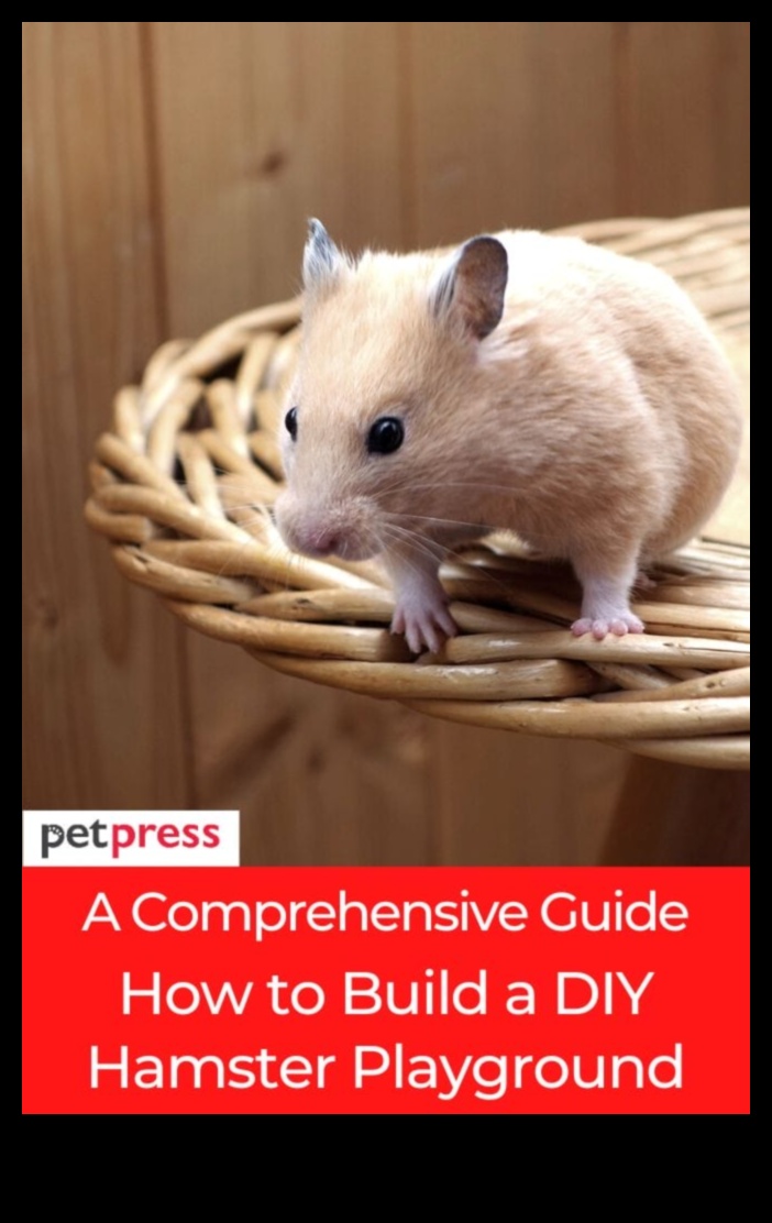 Hamster Enrichment Ideas Continued: Creating Interactive Play Zones