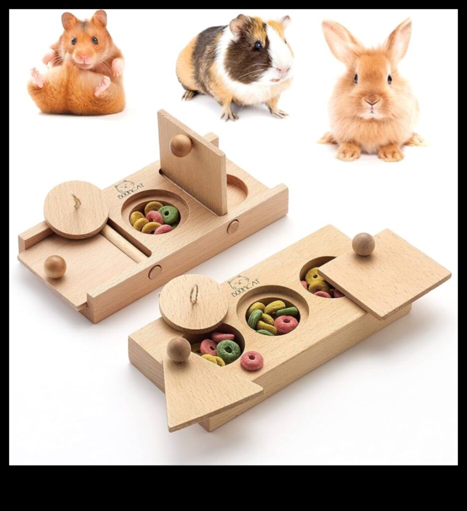Hamster Enrichment Ideas Continued DIY Puzzle Feeders and Toys 1