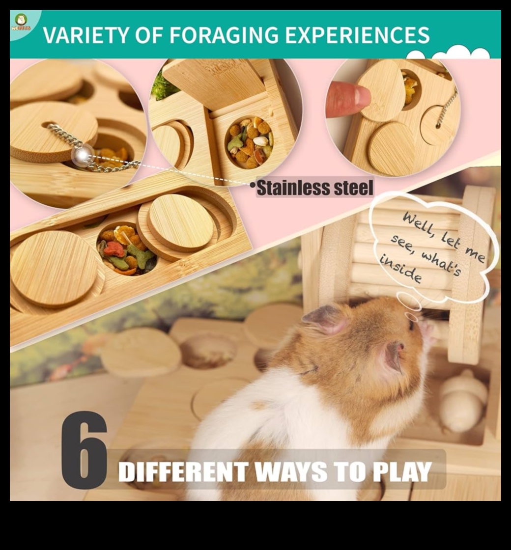 Hamster Enrichment Ideas Continued: DIY Puzzle Feeders and Toys